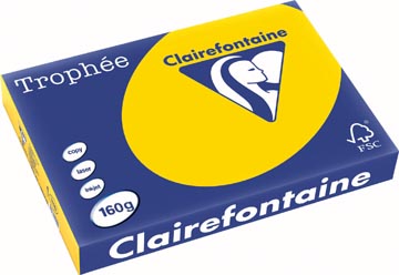 [1110C] Clairefontaine trophée pastel, papier couleur, a3, 160 g, 250 feuilles, bouton d'or