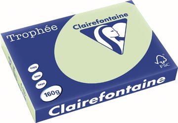 [1114C] Clairefontaine trophée pastel, papier couleur, a3, 160 g, 250 feuilles, vert golf