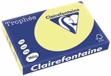 [1115C] Clairefontaine trophée pastel, papier couleur, a3, 160 g, 250 feuilles, jonquille