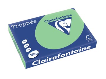 [1119C] Clairefontaine trophée pastel, papier couleur, a3, 160 g, 250 feuilles, vert nature