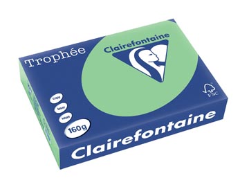 [1120C] Clairefontaine trophée pastel, papier couleur, a4, 160 g, 250 feuilles, vert nature