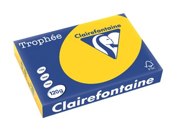 [1206C] Clairefontaine trophée pastel, papier couleur, a4, 120 g, 250 feuilles, bouton d'or