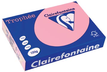 [1210C] Clairefontaine trophée pastel, papier couleur, a4, 120 g, 250 feuilles, rose