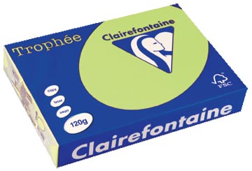 [1215C] Clairefontaine trophée pastel, papier couleur, a4, 120 g, 250 feuilles, vert golf