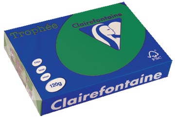 [1224C] Clairefontaine trophée intens, papier couleur, a4, 120 g, 250 feuilles, vert sapin