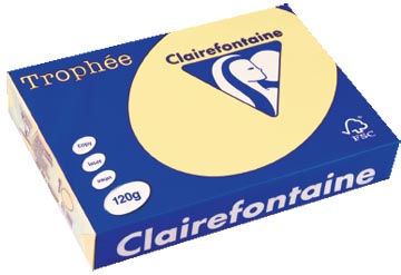 [1248C] Clairefontaine trophée pastel, papier couleur, a4, 120 g, 250 feuilles, jaune canari