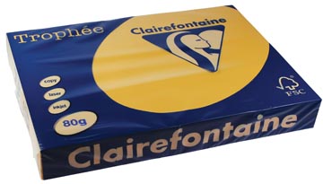 [1255C] Clairefontaine trophée pastel, papier couleur, a3, 80 g, 500 feuilles, bouton d'or