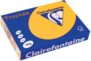 [1257C] Clairefontaine trophée intens, papier couleur, a4, 120 g, 250 feuilles, jaune tournesol
