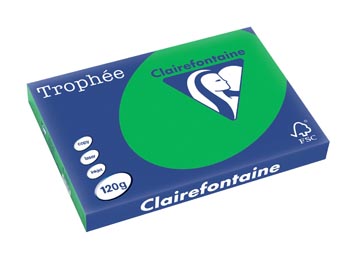 [1272C] Clairefontaine trophée intens, papier couleur, a3, 120 g, 250 feuilles, vert billard
