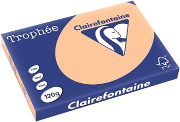 [1276C] Clairefontaine trophée pastel, papier couleur, a3, 120 g, 250 feuilles, abricot