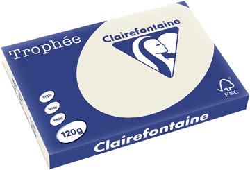 [1301C] Clairefontaine trophée pastel, papier couleur, a3, 120 g, 250 feuilles, gris perle