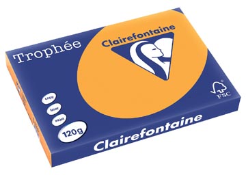 [1305C] Clairefontaine trophée pastel, papier couleur, a3, 120 g, 250 feuilles, clémentine