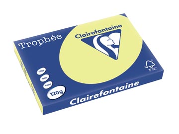 [1307C] Clairefontaine trophée pastel, papier couleur, a3, 120 g, 250 feuilles, jonquille