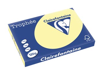 [1308C] Clairefontaine trophée pastel, papier couleur, a3, 120 g, 250 feuilles, jaune canari