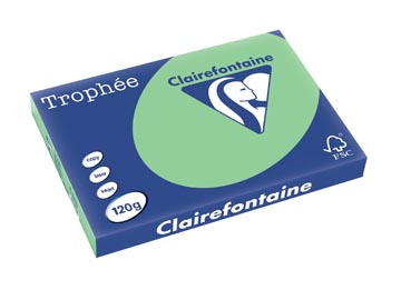 [1328C] Clairefontaine trophée pastel, papier couleur, a3, 120 g, 250 feuilles, vert nature
