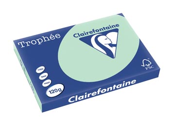 [1376C] Clairefontaine trophée pastel, papier couleur, a3, 120 g, 250 feuilles, vert