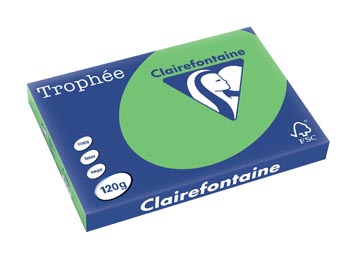[1383C] Clairefontaine trophée intens, papier couleur, a3, 120 g, 250 feuilles, vert menthe