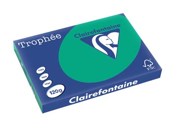 [1384C] Clairefontaine trophée intens, papier couleur, a3, 120 g, 250 feuilles, vert sapin