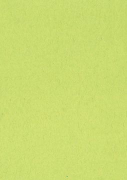 [14515] Papier à dessin coloré vert clair