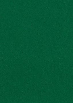 [14545] Papier à dessin coloré vert foncé