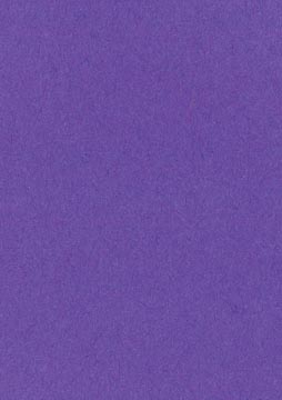 [14908] Papier à dessin coloré violet