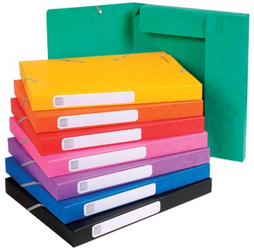 [18500H] Exacompta boîte de classement cartobox dos de 2,5 cm, couleurs assorties: vert, bleu, jaune, rouge, or...