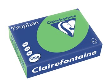 [2208C] Clairefontaine trophée intens, papier couleur, a4, 210 g, 250 feuilles, vert menthe