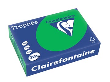 [2215C] Clairefontaine trophée intens, papier couleur, a4, 210 g, 250 feuilles, vert billard
