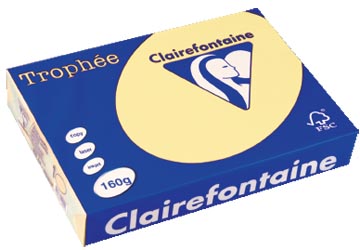 [2636] Clairefontaine trophée pastel, papier couleur, a4, 160 g, 250 feuilles, jaune canari