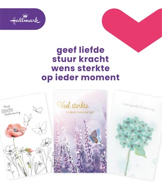 [3181762] Hallmark set de recharge cartes de souhaits, condoléances (nl), paquet de 10 pièces