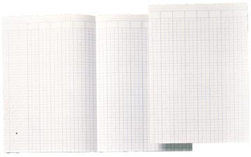 [360794] Atlanta by jalema papier à colonnes ft a4, ft déplié 29,4 x 41,4 cm