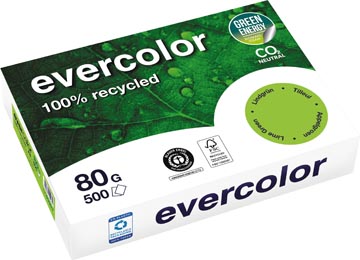 [40027C] Clairefontaine evercolor, papier couleur recyclé, a4, 80g, 500 feuilles, tilleil