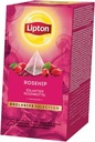 Lipton thé, églantier, exclusive selection, bôite de 25 sachets
