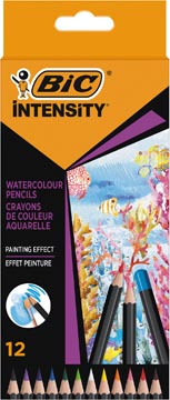 [511726] Bic crayon aquarelle intensity, étui de 12 pièces