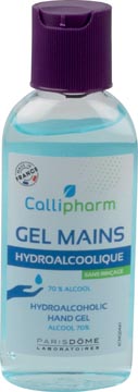 [7032290] Gel mains hydroalcoolique, bouteille de 100 ml