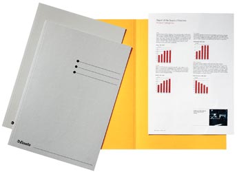 [2113407] Esselte chemise de classement, gris, carton de 180 g/m², paquet de 100 pièces