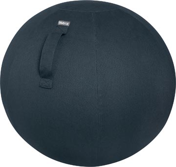 [52790089] Leitz ergo cosy ballon d'assise active, gris